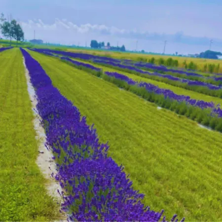 Apartament Casa Grazia